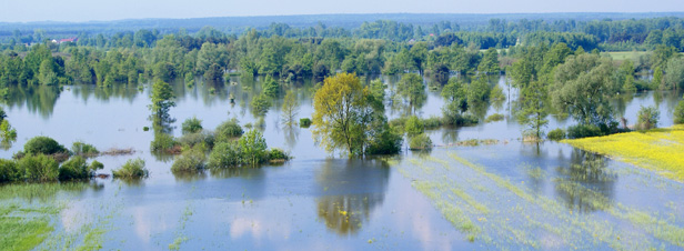 L'Etat se dote d'une stratgie nationale de gestion des risques d'inondation