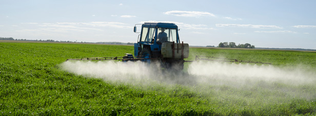 Ecophyto : report de l'objectif de rduction de 50% de l'usage des pesticides  2025