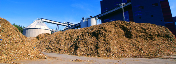 Des innovations sont ncessaires pour que la biomasse reste rentable
