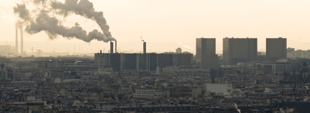 Pollution de l'air : "le Gouvernement doit prendre le problme  bras le corps"