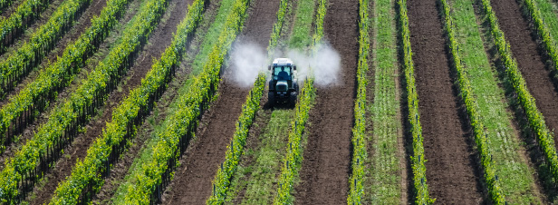 Pesticides : l'enqute sur France 2 bouscule les certitudes