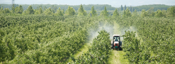 Victimes des pesticides: un projet de loi bauche le futur fonds d'indemnisation