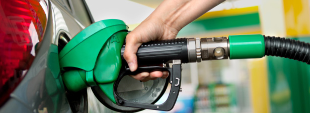 Biocarburants durables: la Cour des comptes europenne tacle les critres d'valuation