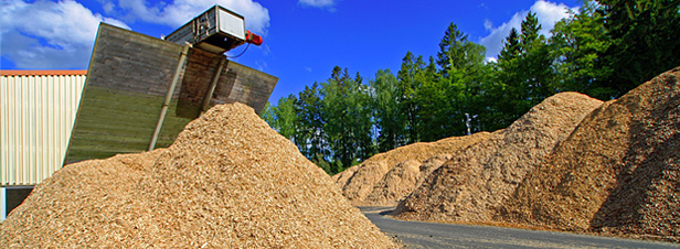 Appel  projets pour la biomasse: dix laurats composent le millsime 2016