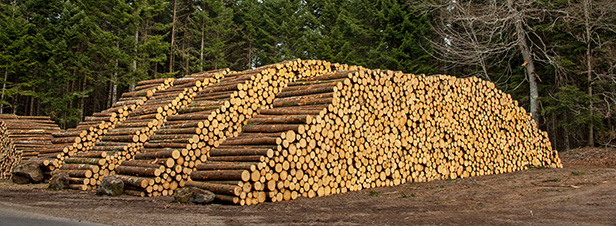La filire du chauffage au bois pourrait profiter des tensions sur le rseau lectrique 