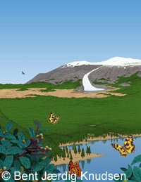 Un milieu forestier occupait le Groenland il y a 450.000 ans