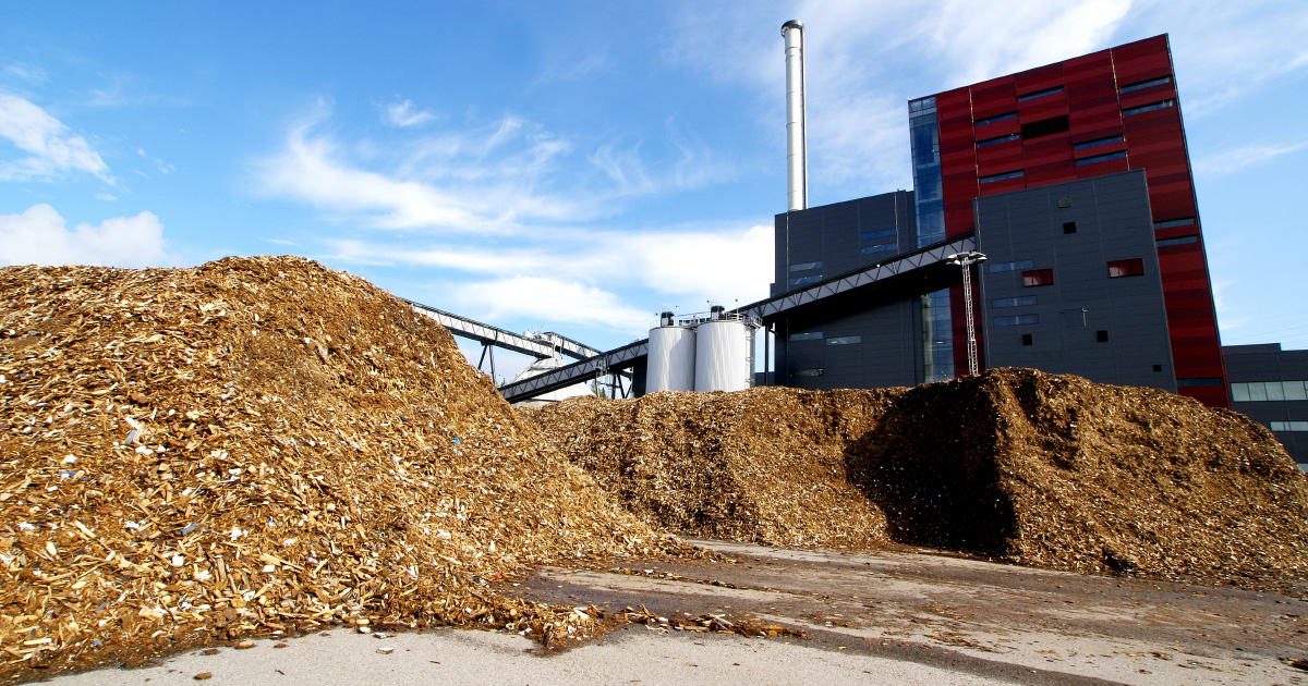 Biomasse: 11 laurats  l'appel  projets