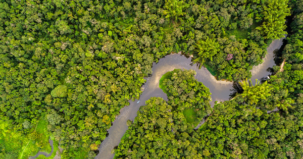 Le gouvernement allge les rgles applicables  l'valuation environnementale en Guyane