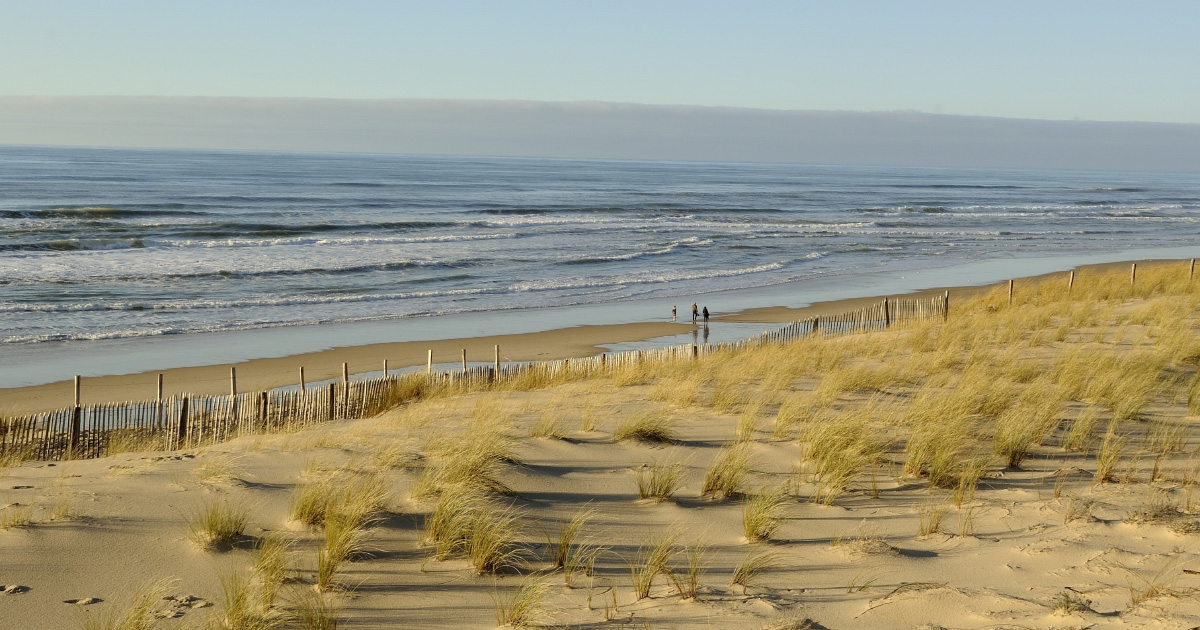 Recul du trait de cte: les dunes sont la protection la moins coteuse et la plus efficace  long terme