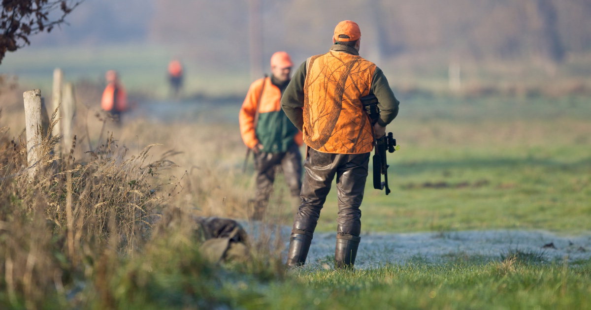 Rforme de la chasse: le malentendu sur la gestion adaptative des espces
