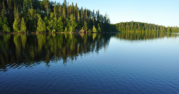 Les micro-organismes des lacs affects par les pressions climatiques et humaines