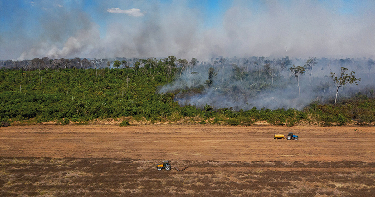 Dforestation en Amazonie: des pistes pour mettre fin aux importations franaises de soja