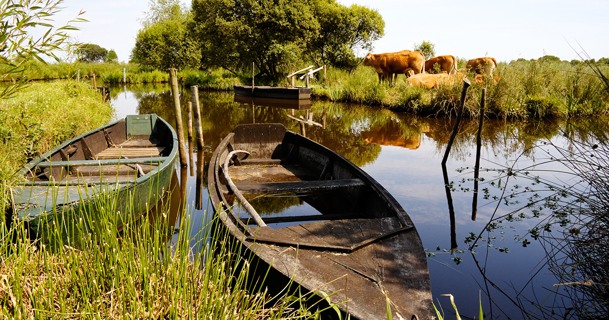 Loire-Bretagne: une vigilance de mise sur les pollutions diffuses et la morphologie des cours d'eau