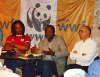 Le WWF remonte au crneau contre l'importation de bois illgal