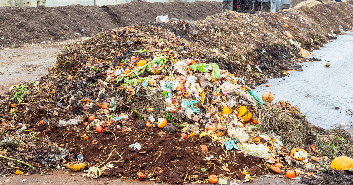 Vers un encadrement de la collecte des sacs plastique compostables avec les biodchets