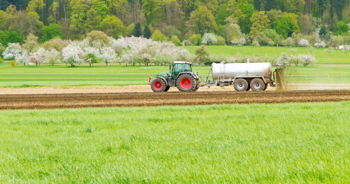 Nitrates: l'Autorit environnementale souligne le manque d'ambition du nouveau plan national