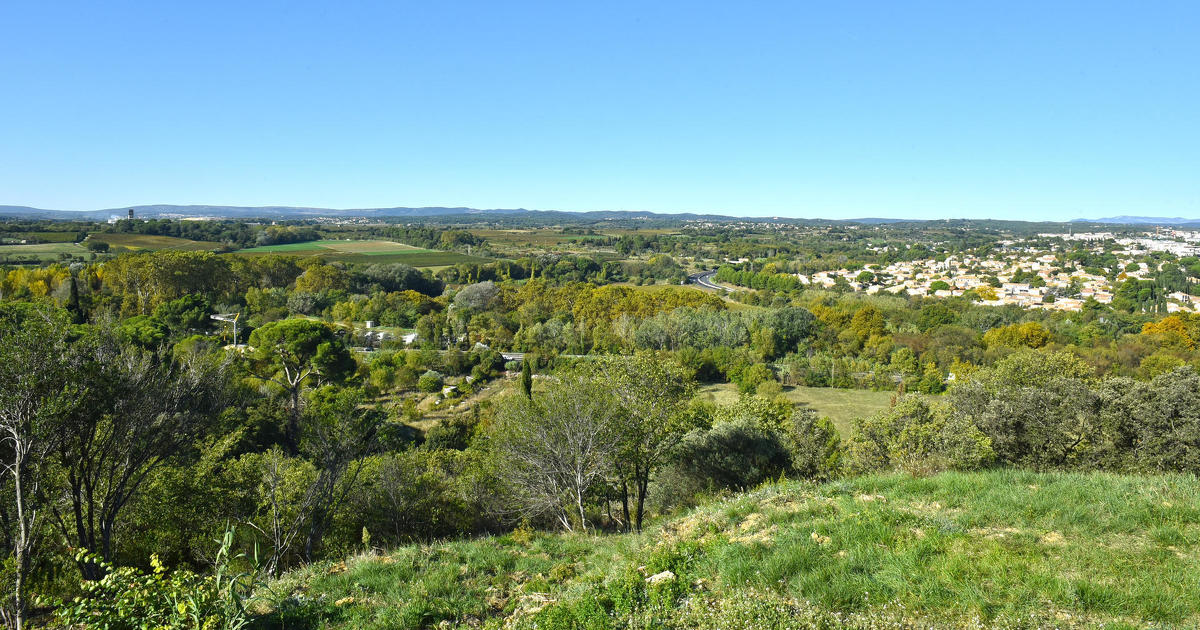 Montpellier Mtropole planche sur un projet indit d'amnagement de parc agricole urbain