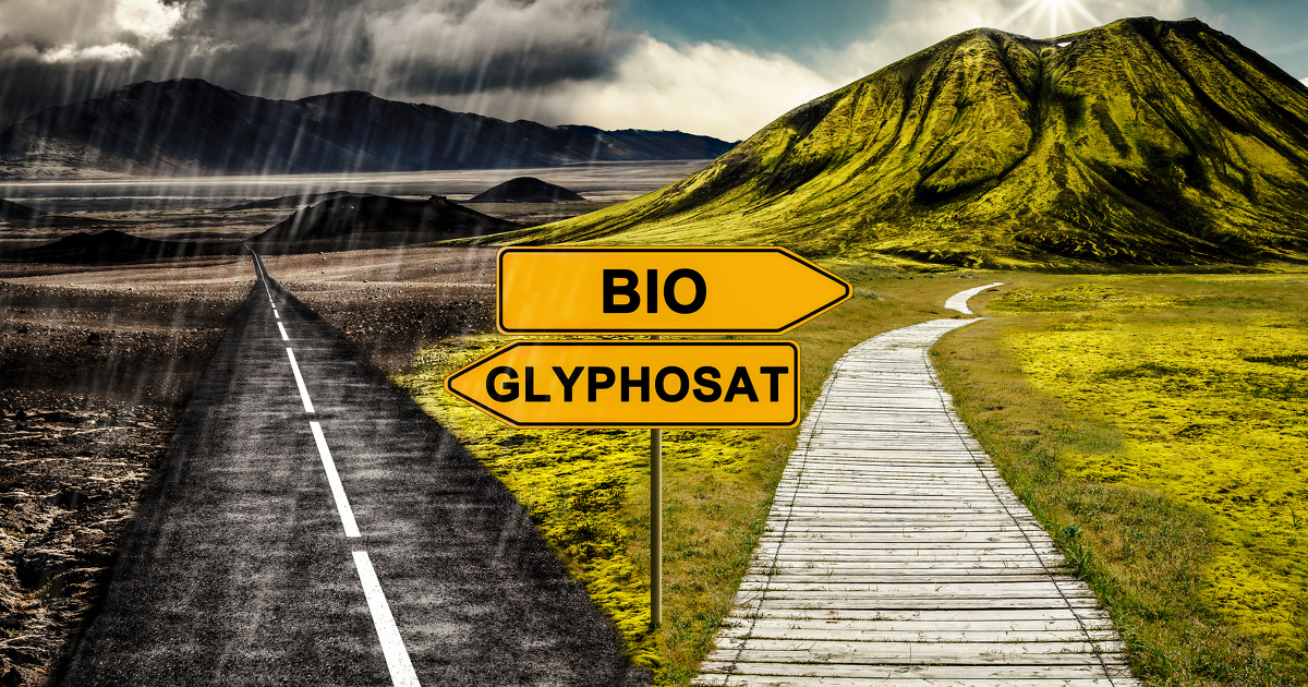 Glyphosate: ces controverses qui empoisonnent le dbat