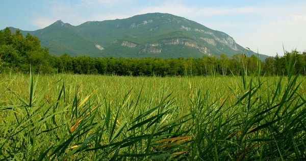 Sites Natura 2000: un projet de dcret propose d'encadrer l'usage des pesticides par arrt prfectoral