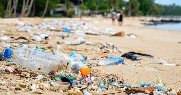 Trait international sur la pollution plastique: toutes les options sont sur la table