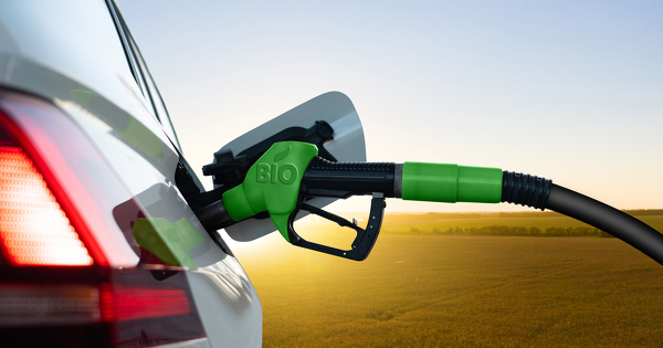 Les biocarburants progressent lentement, mais srement
