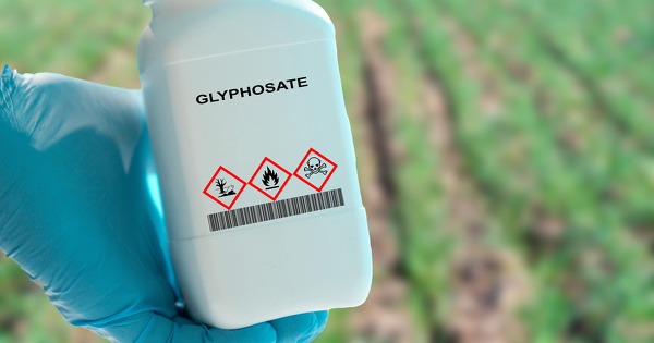 Exposition prnatale aux pesticides: Tho Grataloup reconnu victime du glyphosate