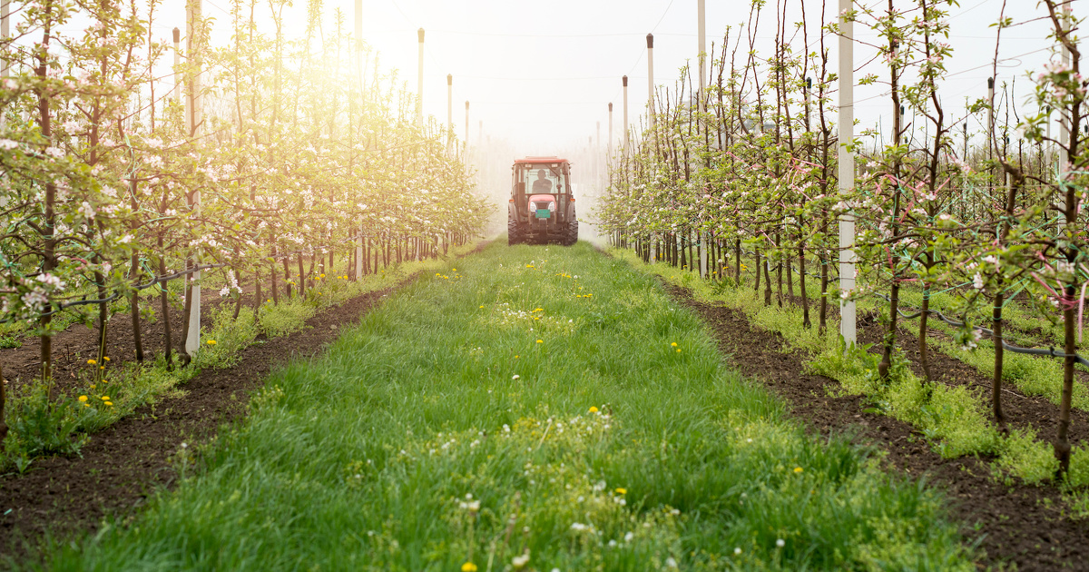 Utilisation durable des pesticides: la proposition de rglement fait face au risque de dtricotage