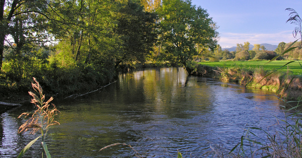 Changement climatique: le bassin Rhin-Meuse dcline son objectif de sobrit hydrique 
