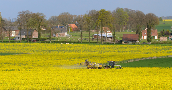 Pesticides: la justice annule les arrts d'approbation de cinq chartes d'engagements