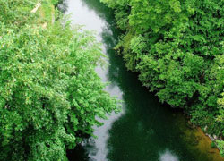 Pollution aux PCB : des fleuves malades et pour l'instant incurables