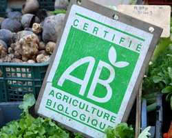 Vers une Agriculture bio locale pour rpondre  une demande accrue des Franais