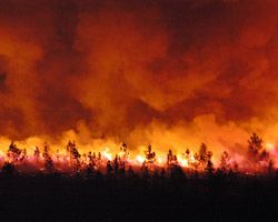 Le lien troit entre changements climatiques et feux de vgtation confirm