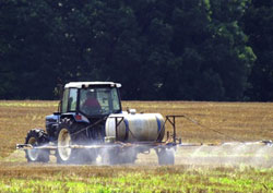 Rsidus de pesticides dans les aliments : la France fait figure de mauvais lve