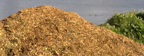 Compost plus : un rseau s'organise autour de la collecte slective des biodchets