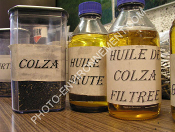 Photo 3 tapes de la production d'huile de Colza