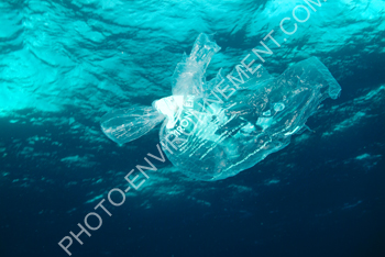 Photo Sac plastique en mer