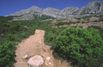 Photo Sentier sur la Montagne Sainte Victoire