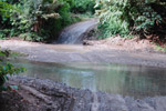 Photo Piste coupe par un ruisseau tropical