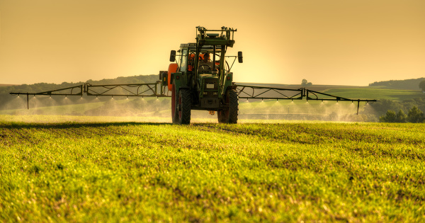 Pesticides: la France ne peut se soustraire aux rgles du jeu europennes