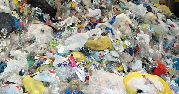 STEINERT : des systmes de tri qui font la fiert des recycleurs