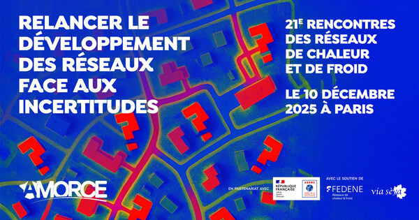 21e Rencontres des R�seaux de Chaleur et de Froid