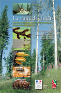 Santé des Forêts - Édition « de terrain »