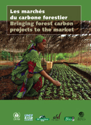 L'ONF publie un guide sur les marchs du carbone forestier