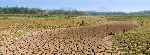 COP 22: un petit pas vers la prise en compte de l'eau