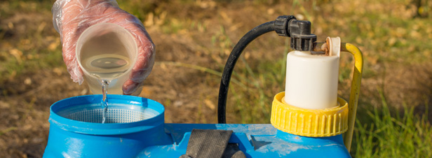 Pesticides: l'Efsa propose de nouvelles valeurs par dfaut pour valuer les risques d'absorption cutane