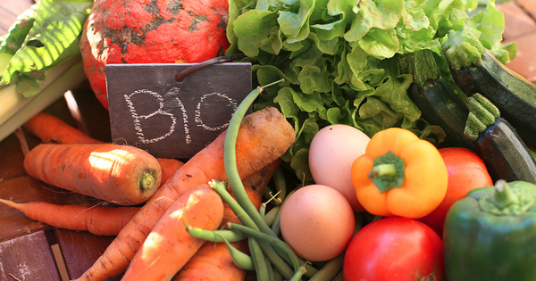 Produits bio, crit�res d'achat, production personnelle�: les pratiques alimentaires des Fran�ais � la loupe