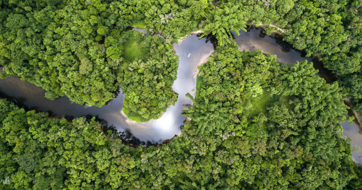 Le Brsil abroge le dcret d'exploitation minire d'une rserve d'Amazonie
