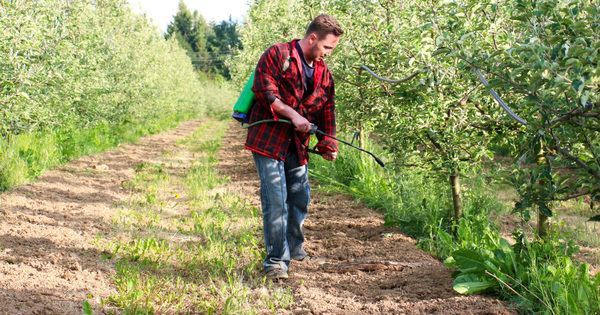 Les d�put�s europ�ens veulent interdire compl�tement le glyphosate en 2022