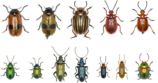 Une partie du personnel du Mus�um national d'histoire naturelle est transf�r�e � l'Agence de la biodiversit�