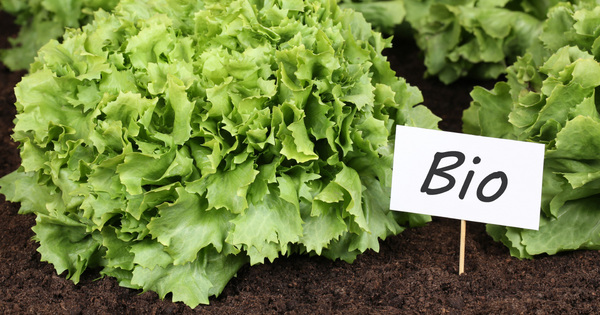 Agriculture bio�: les d�put�s votent en faveur d'un prolongement des aides au maintien jusqu'en 2019